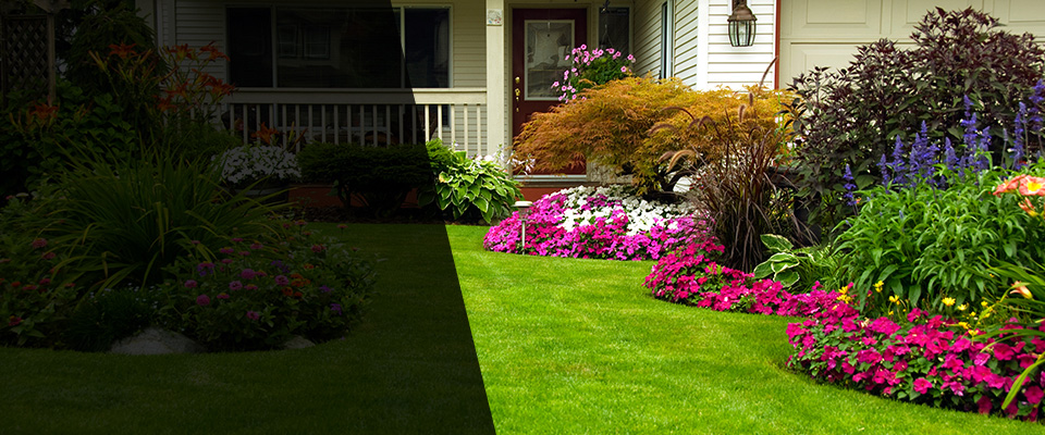 Reddick Landscapers