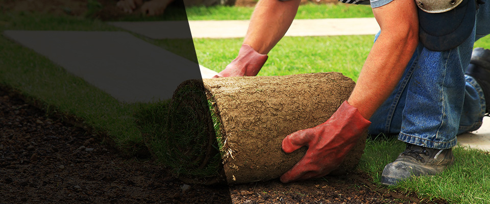 Reddick Landscapers